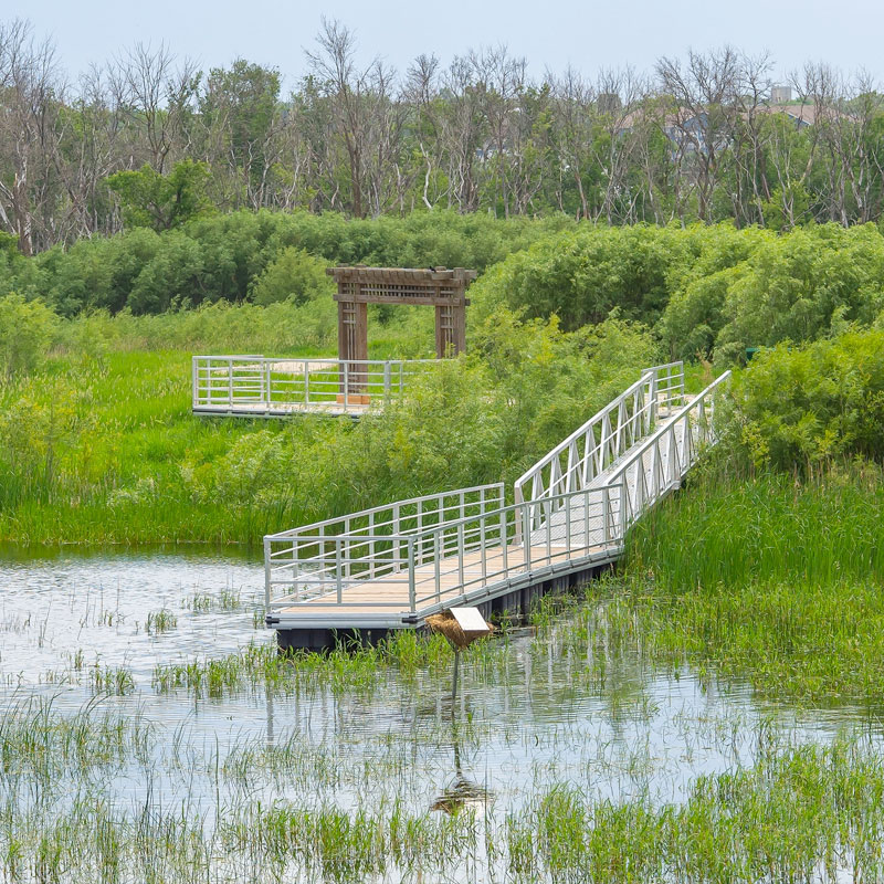 Pond and dock at the Riverbank Discovery Centre, Brandon, Manitoba